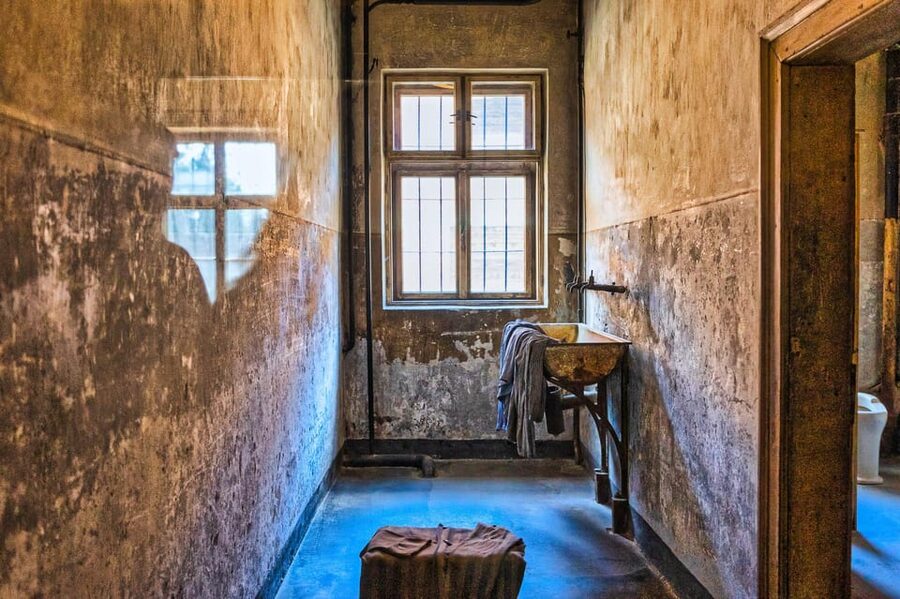Krakow: Auschwitz-Birkenau Guided Tour and Private Transport - Who this tour is best for