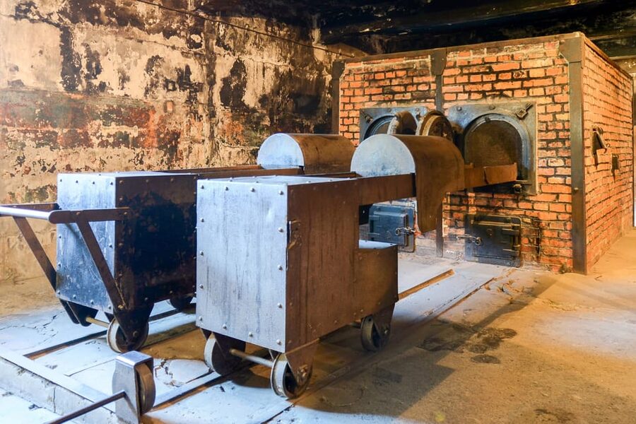 Krakow: Auschwitz-Birkenau Guided Tour or Self-Guided Tour - Real-world impressions: what seems to work best with this tour