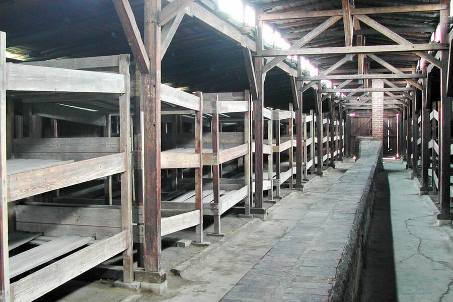 Krakow: Auschwitz-Birkenau Guided Tour or Self-Guided Tour - The commute to Oświęcim and how the day handles real-world timing