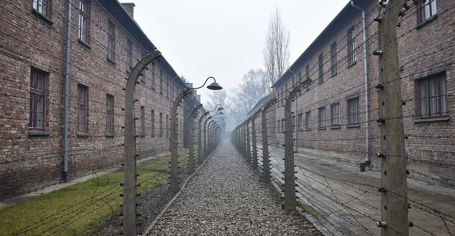 Krakow: Auschwitz-Birkenau Guided Tour or Self-Guided Tour - What the price gets you, and why it can still feel worth it