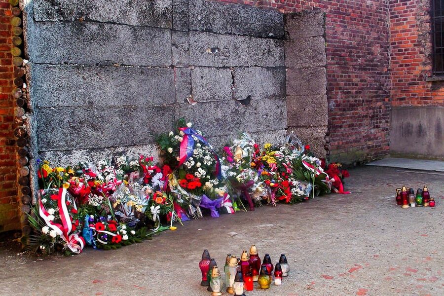 Krakow: Auschwitz-Birkenau Guided Tour or Self-Guided Tour - Packing and rules that affect your day