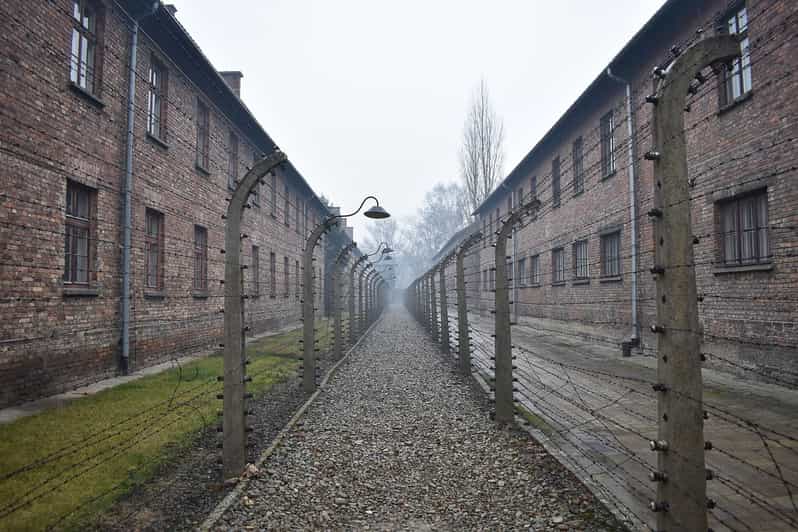 Krakow: Auschwitz-Birkenau Guided Tour or Self-Guided Tour - Two ways to do it: guided museum narration vs self-guided pacing