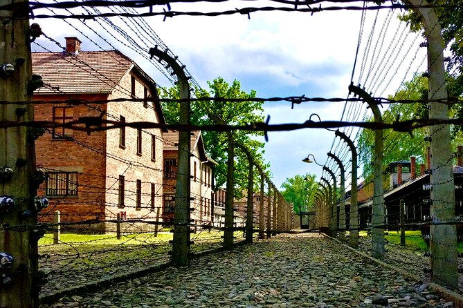 Krakow: Auschwitz - Birkenau Guided Tour with Private Transport - Key Things That Make This Tour Work Well