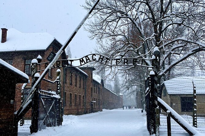 Krakow: Auschwitz - Birkenau Guided Tour with Private Transport - Birkenau: Why 1 Hour Can Still Leave a Mark