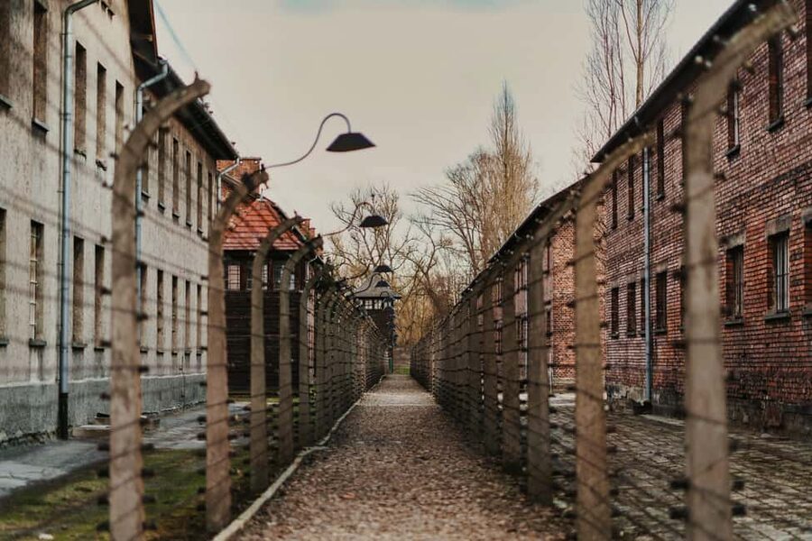 Krakow: Auschwitz-Birkenau Guided Tour with Transportation - Price and Value: What $20 Buys You (and What It Doesn’t)