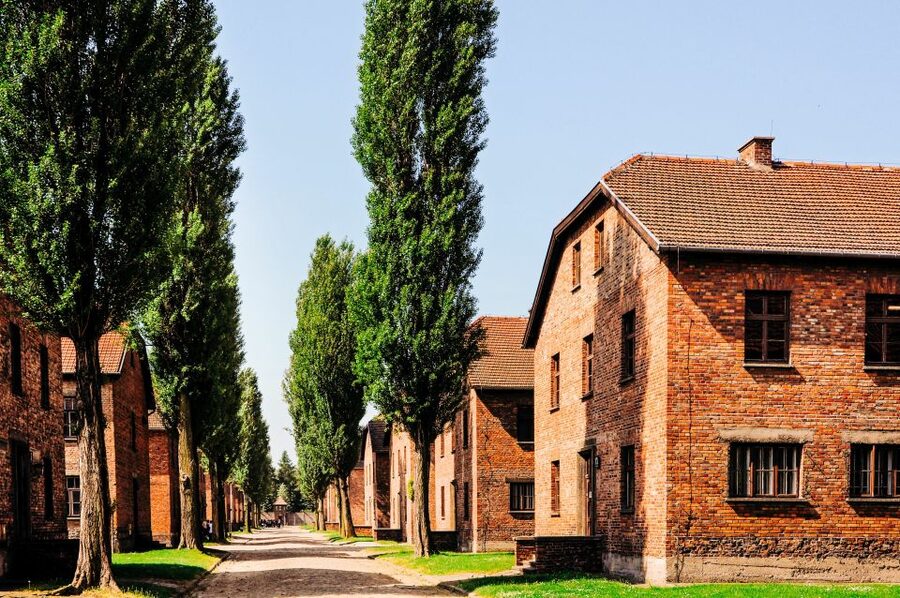 Krakow: Auschwitz-Birkenau Live Guided Tour & Hotel Pickup - Auschwitz I: the main gate, the camp prison story, and where executions fit