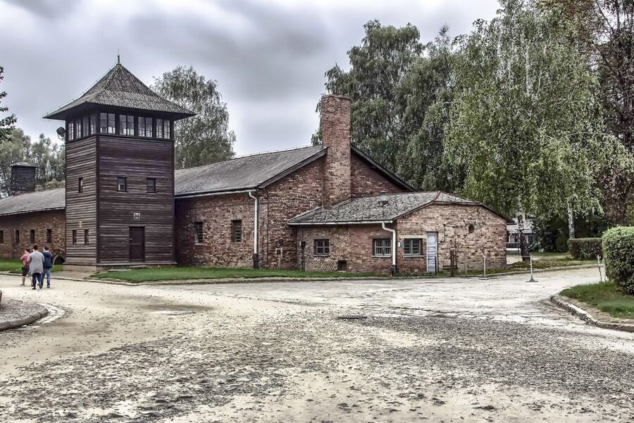 Krakow: Auschwitz Birkenau Museum Guided Tour with Pickup - Timing inside the camps: waiting, crowds, and getting through without panic