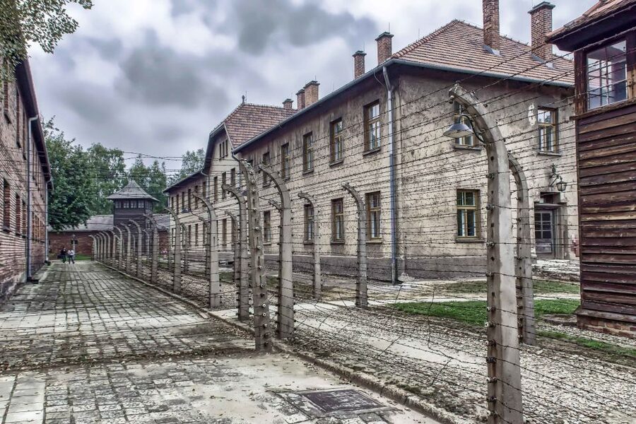 Krakow: Auschwitz Birkenau Museum Guided Tour with Pickup - English guide and audio: how to actually make sense of what you see