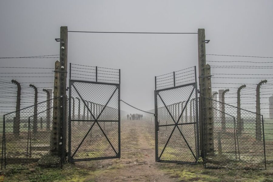 Kraków: Auschwitz-Birkenau & Salt Mine Full-Day Guided Tour - Quick hits to help you decide fast
