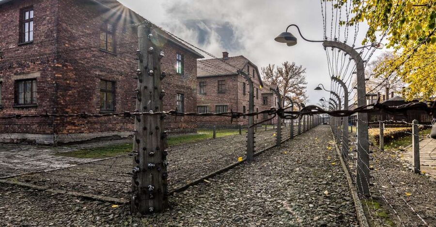 Kraków: Auschwitz-Birkenau & Salt Mine Full-Day Guided Tour - What makes this Kraków full-day pairing work so well