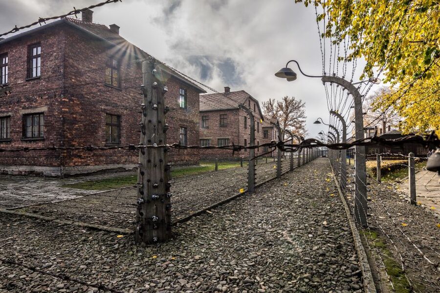 Kraków: Auschwitz-Birkenau & Salt Mine Full-Day Guided Tour - Value check: is $27 fair for Auschwitz and Wieliczka?