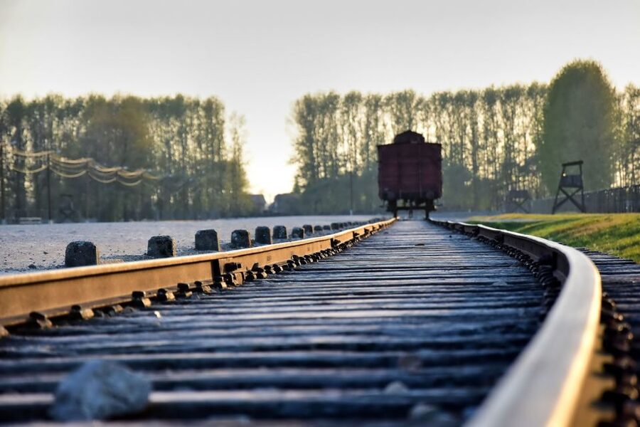 Kraków: Auschwitz-Birkenau & Salt Mine Full-Day Guided Tour - Auschwitz-Birkenau: a guided visit that keeps you oriented