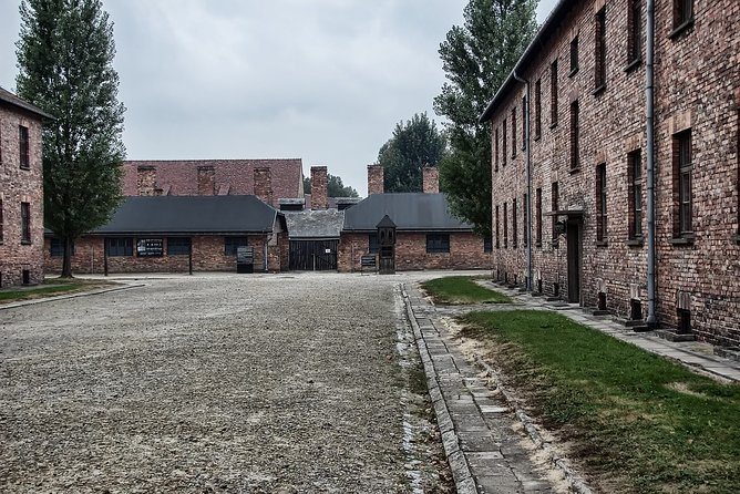 Krakow: Auschwitz-Birkenau Shared English Tour and Transfer - What to bring: modest clothing, packed food, and lots of walking