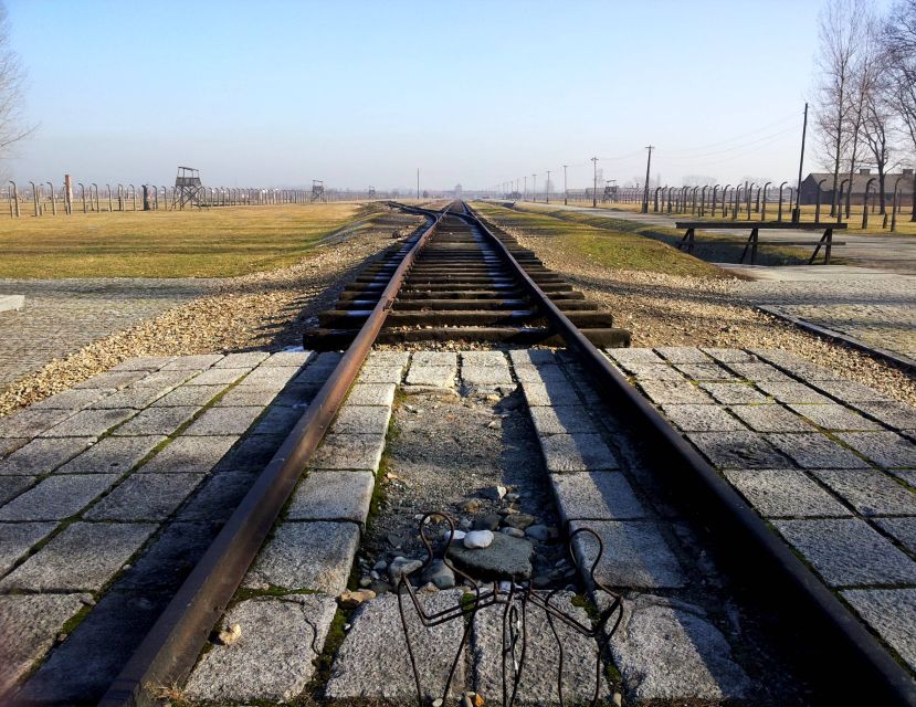 Krakow: Auschwitz-Birkenau & Wieliczka Salt Mine with Lunch - Coping with crowds at Auschwitz: what you can control