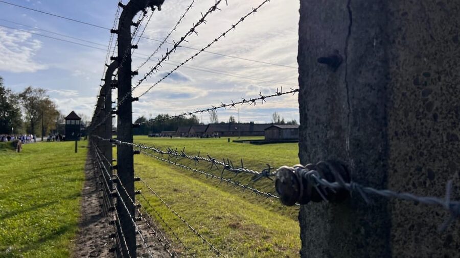 Krakow: Auschwitz-Birkenau & Wieliczka Salt Mine with Lunch - Lunch box reality: good value when it works, annoying when it doesn’t