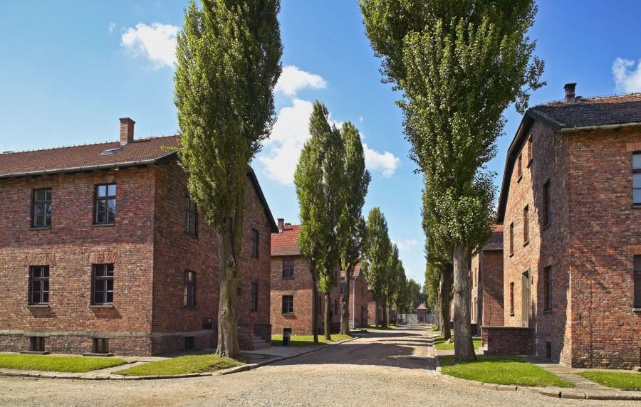Krakow: Auschwitz Guided Tour with Optional Hotel Pickup - Quick take: what makes this Auschwitz-Birkenau day trip work
