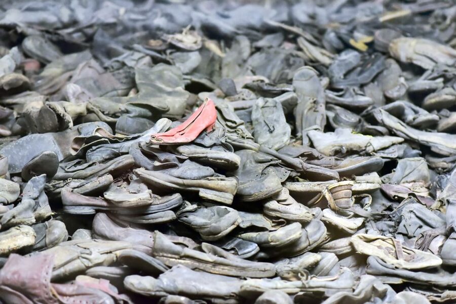 Krakow: Auschwitz Guided Tour with Pickup and Optional Lunch - Krakow-to-Auschwitz: why this day trip feels so different
