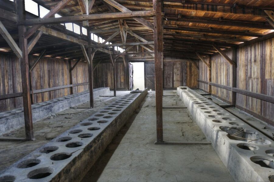 Krakow: Auschwitz Guided Tour with Pickup and Optional Lunch - The guide factor: what you’re really paying for