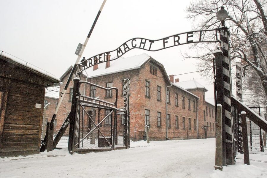 Krakow: Auschwitz & Wieliczka Salt Mine Guided Day Tour - Should you book this day tour?