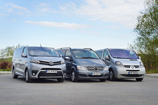 Krakow Balice Airport Transfer - Flight delays: what you do and what the driver should handle