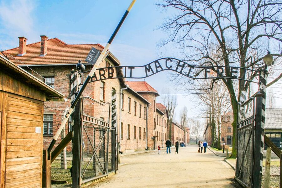 Krakow: Full-Day Auschwitz-Birkenau & Salt Mine Guided Tour - Quick Hits Before You Go