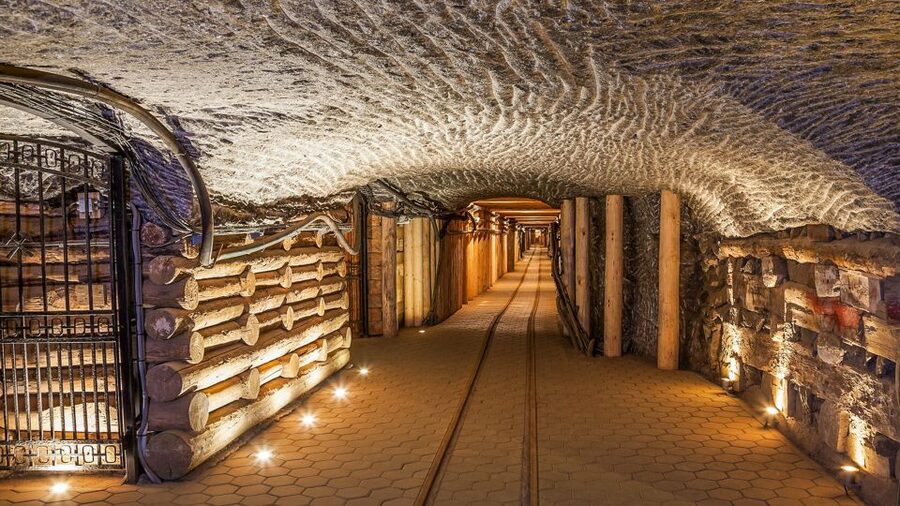 Krakow: Full-Day Auschwitz-Birkenau & Salt Mine Guided Tour - Who Should Book This Tour (and Who Should Rethink It)