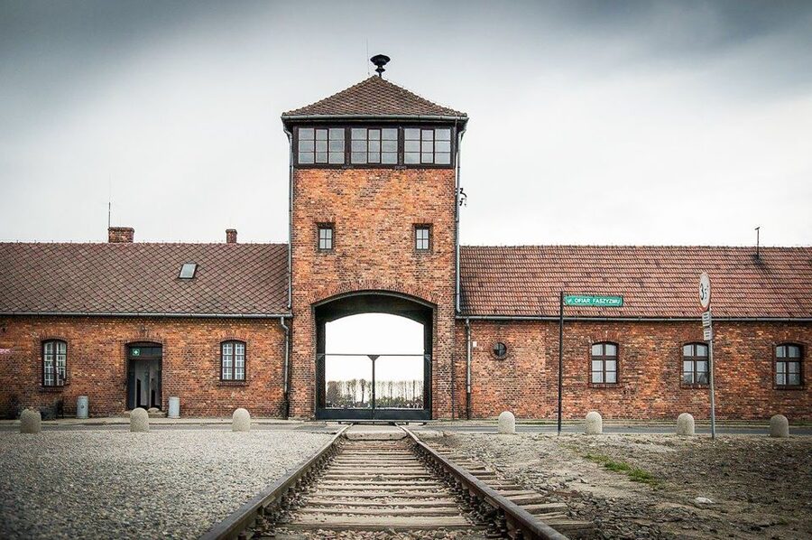 Krakow: Full-Day Auschwitz-Birkenau & Salt Mine Guided Tour - Walking the Museum and Grounds: How to Make the Time Count