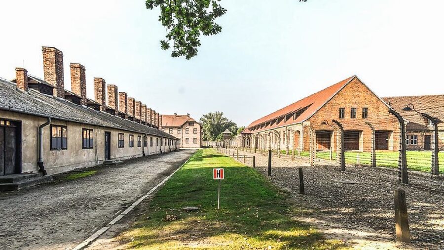 Krakow: Full-Day Auschwitz-Birkenau & Salt Mine Guided Tour - What to Bring (and What Rules to Respect)