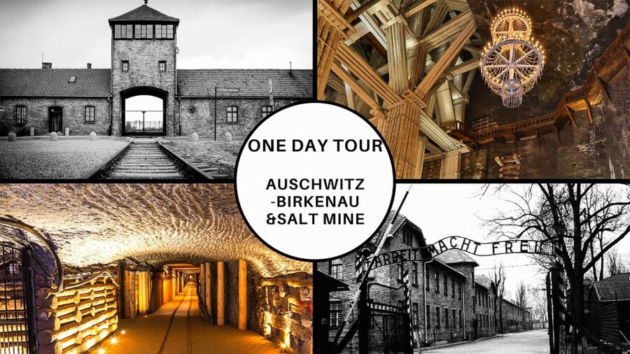 Krakow: Full-Day Auschwitz-Birkenau & Salt Mine Guided Tour - Meeting in Krakow: Wielopole 2 and Day-Of Time Changes
