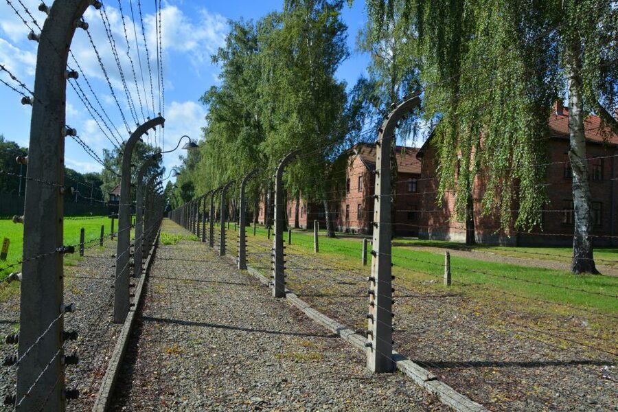 Krakow: Guided Auschwitz Birkenau Tour - Key Points Before You Go