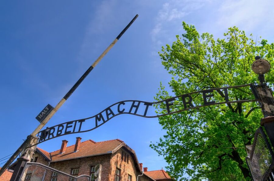 Krakow: Guided Auschwitz Birkenau Tour - Who This Tour Fits Best (and Who Might Rethink It)