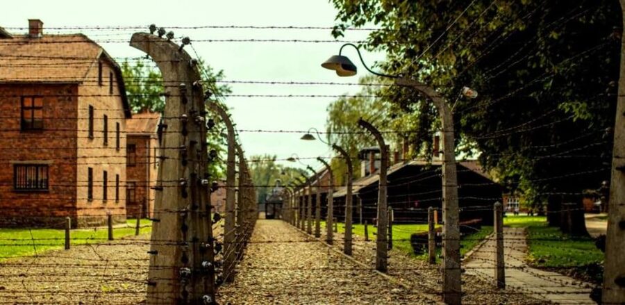 Krakow: Guided Auschwitz-Birkenau Tour - Minivan Transport - Key points before you go