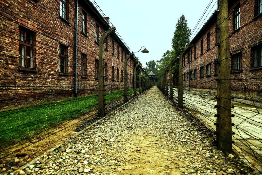 Krakow: Guided Auschwitz-Birkenau Tour - Minivan Transport - The minivan ride from Krakow: smooth logistics, early start