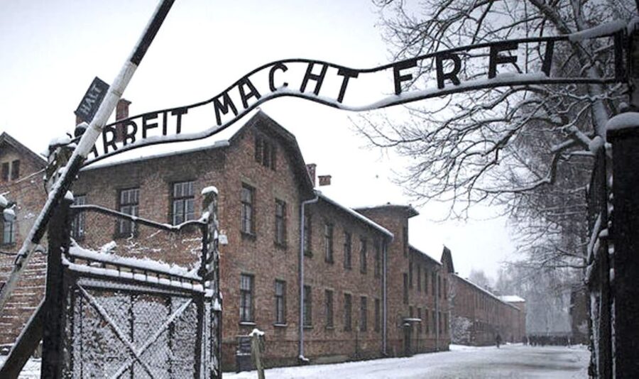 Krakow: Guided Auschwitz-Birkenau Tour - Minivan Transport - What the museum guide really adds (and why it’s worth it)