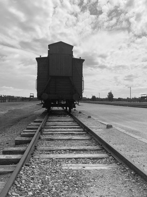 Krakow: Guided Auschwitz-Birkenau Tour - Minivan Transport - Getting your basics right: documents, shoes, and what you can bring