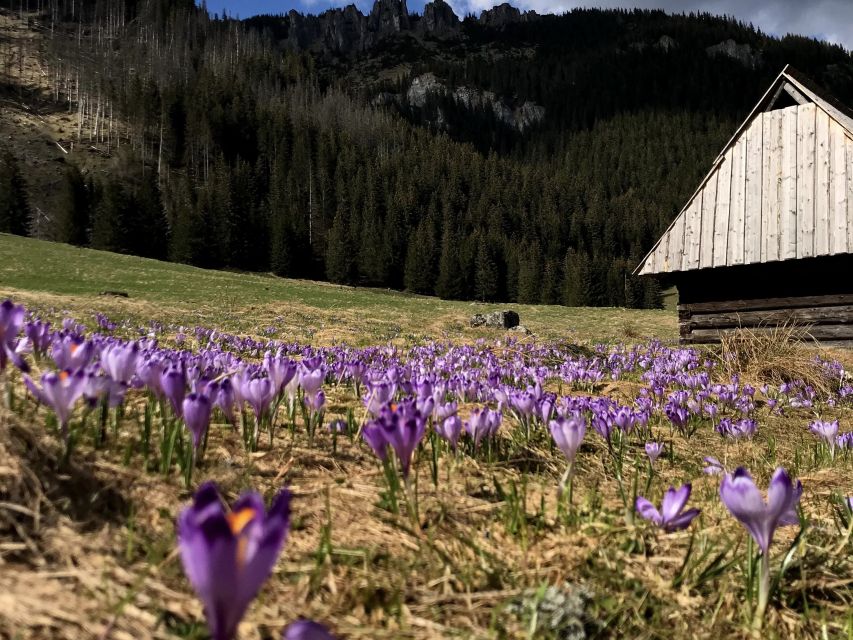 Krakow: Hiking Adventure in Tatra Mountains & Thermal Baths - What to pack so the day feels smooth