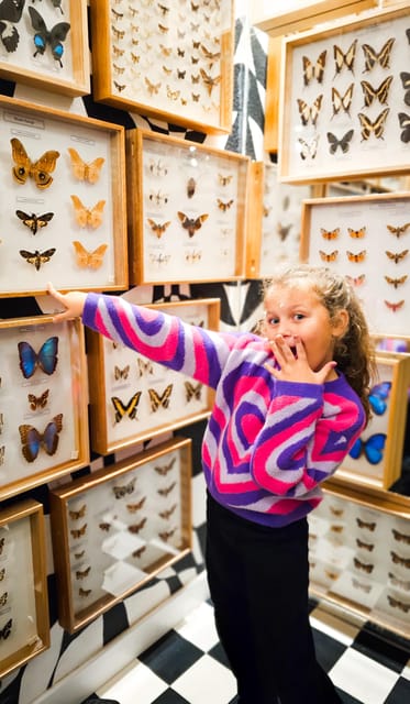 Krakow: Museum of Living Butterflies 2+1 - Key highlights you should care about