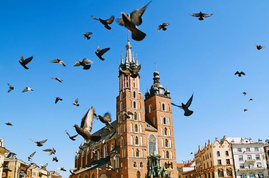 Krakow: Old Town Private Guided Walking Tour - Price and value: why $16 feels like a bargain for a private walk