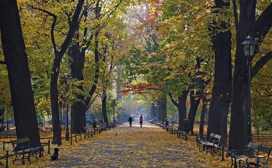 Krakow: Old Town "Royal Route" Walking Tour - Key highlights to know before you go