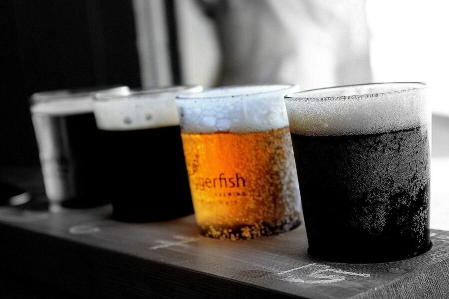 Krakow: Private Polish Beer Tasting Tour with a Beer-Expert - Beer History and Brewing Basics You Can Taste