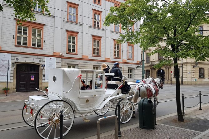 Krakow Private Walking Tour - Price and logistics: what $179 buys you in real time