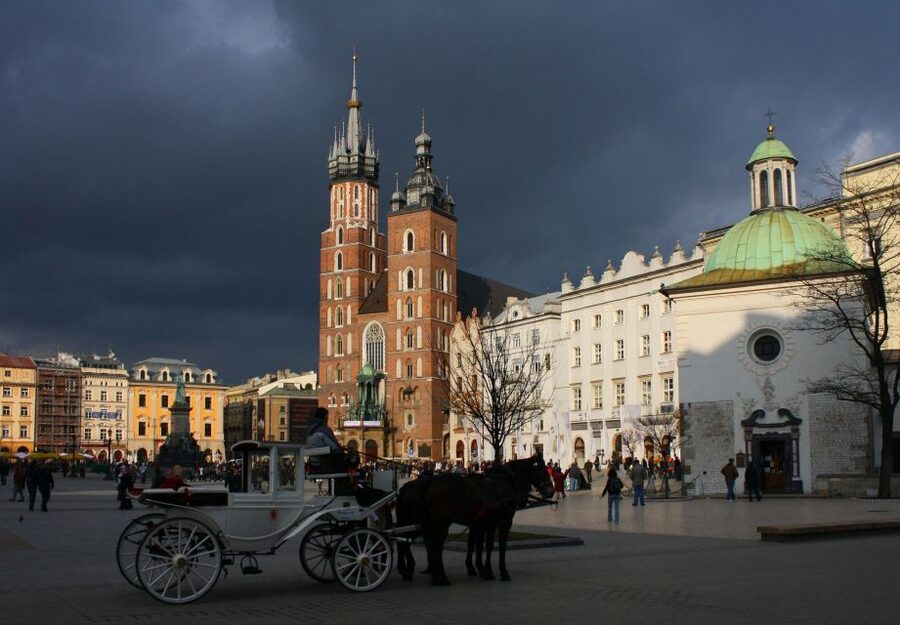 Krakow: Skip-the-Line Wawel Castle & Old Town Guided Tour - Who this Krakow Wawel and Old Town tour is best for