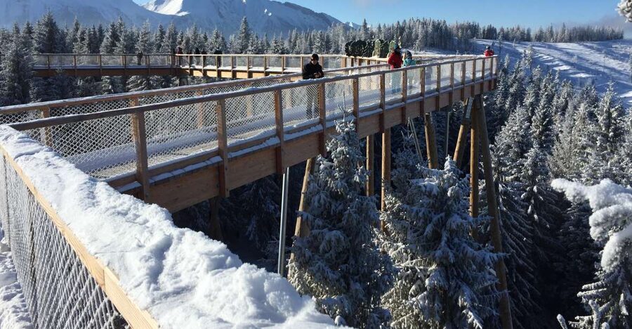 Krakow: Slovakia Treetop Walk & Zakopane Tour (Hotel Pickup) - Zakopane Comes Next: Time on Krupowki Street