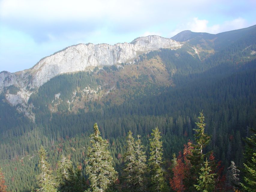 Krakow: Tatra Mountains and Zakopane Full-Day Private Tour - Great Krokiew: Ski Jumping’s Historic Scale
