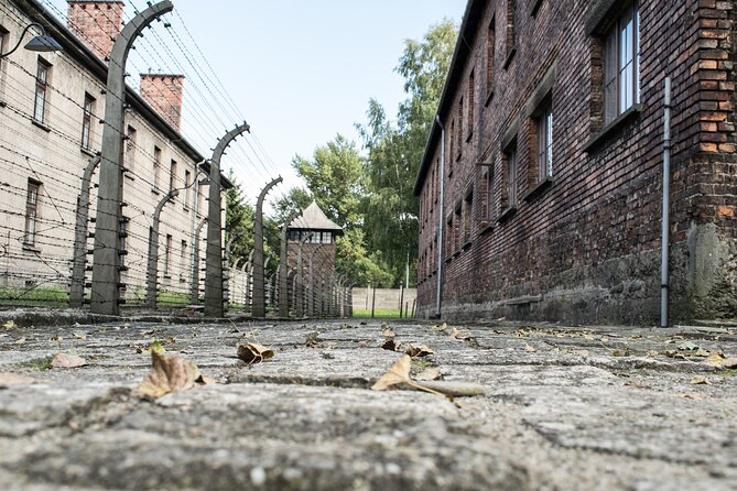 Krakow to Auschwitz Birkenau Guided Tour with Ticket and Transfer - Pickup timing and the “early morning” reality