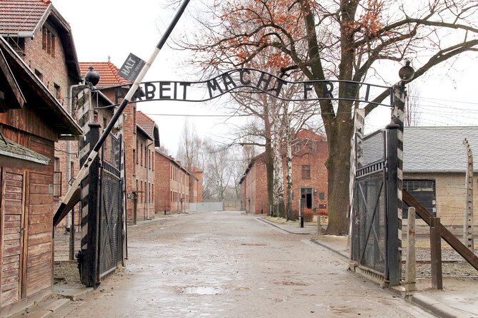 Krakow to Auschwitz-Birkenau: Private Round-Trip Experience - Tickets and entry: the free part you still must reserve