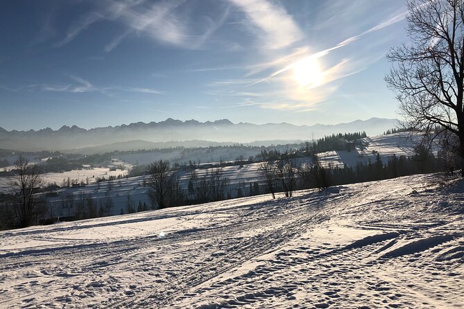 Krakow to or from Zakopane Exclusive Private Transfer - Krakow–Zakopane Transfer: Who This Ride Fits Best