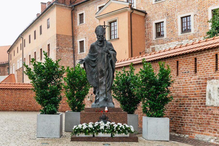 Krakow: Wawel Royal Hill with Optional Castle and Cathedral - What you’ll learn: secrets of kings, queens, and why details matter