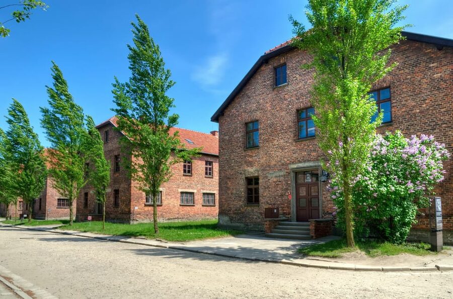 Krakow: Wieliczka Salt Mine and Auschwitz-Birkenau Tour - Key takeaways before you go