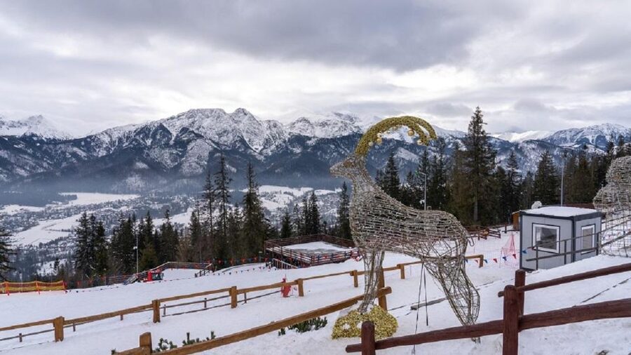 Krakow: Zakopane and/or Thermal Baths Experience - Choosing your pass and how it changes the whole rhythm